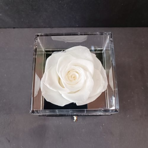 Ecrin rose blanche