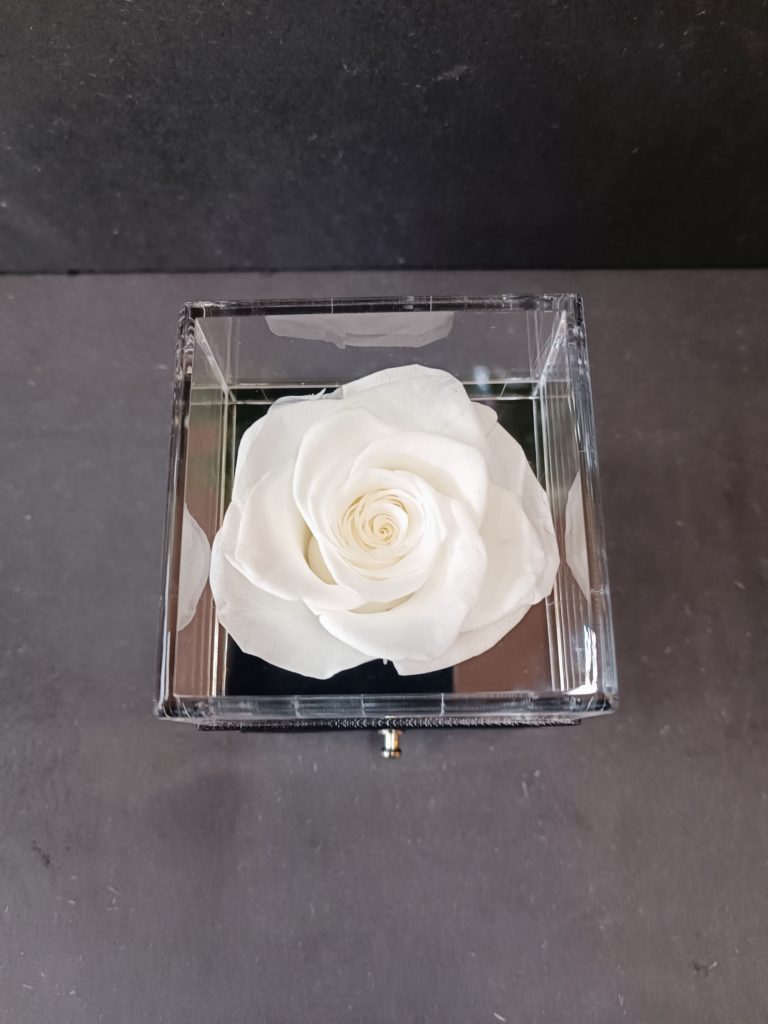 Ecrin rose blanche