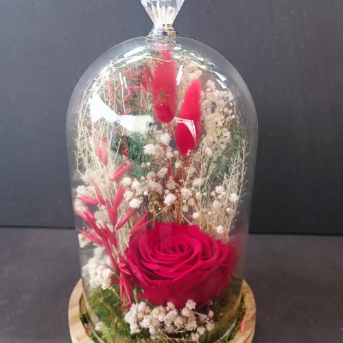 Cloche rose rouge